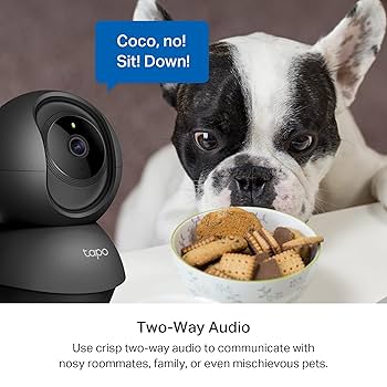 ポケモン - tapo Tapo C111 | Home Security Wi-Fi Camera | TP-Link